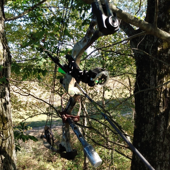 Compound bow - Picture 1 of 1